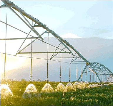 ���˴��� 